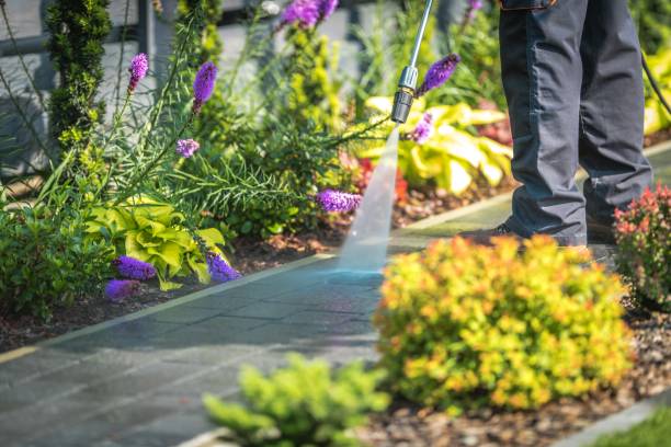 Best Sidewalk and Walkway Pressure Cleaning in Watauga, TX
